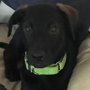 Meet your Posher, Cory